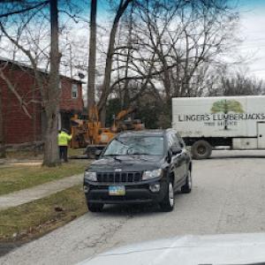 Linger's Lumberjacks