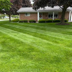 Silver Clean-Up Lawn Maintenance