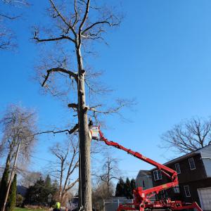 Jireh Property Maintenance