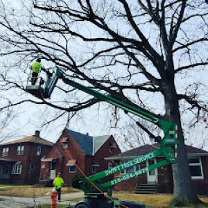 Swift Tree Service