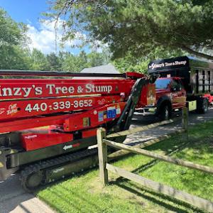 Stinzy's Tree & Stump