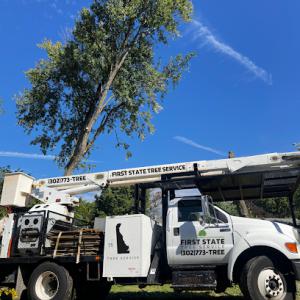 First State Tree Service