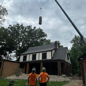 Banks' Tree Services