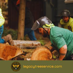 Legacy Tree Service