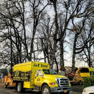 J & F Tree Service