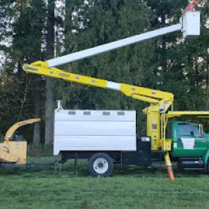 Watts Tree Service