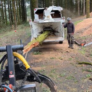 Bridgetown Tree Service