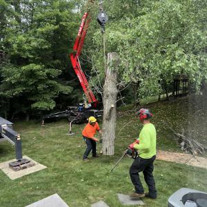 Blaha's Landscaping & Tree Service