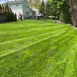 Marte Lawn Maintenance
