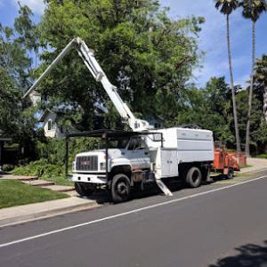 Saunders Tree Service