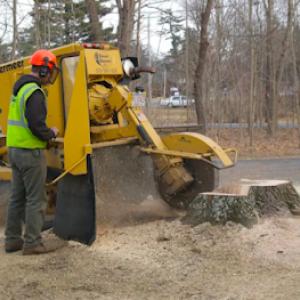 Atherton Tree Services