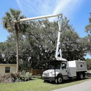 M.V.P Tree Service