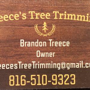 Treece's Tree Trimming