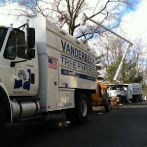 Vanderbeck Tree Experts