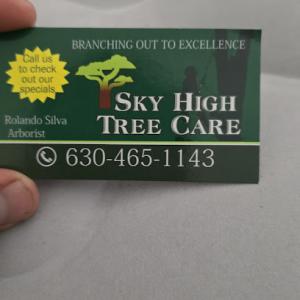 Sky High Tree Care