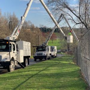 Sidelines Tree Service