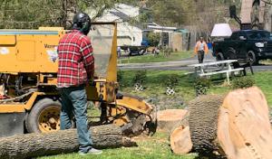 Woods Septic Tank Service