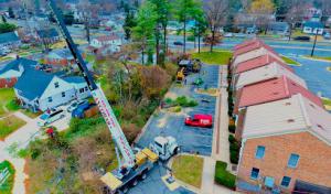 Axcobar Tree Experts.