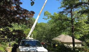 RJ Tree Service