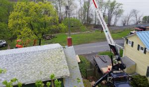 NE Tree & Property Service