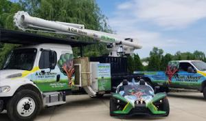 A Cut Above Tree Service