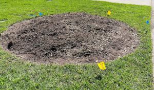 J.K. Williams Stump Grinding