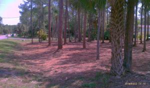 Eco Mulching Services