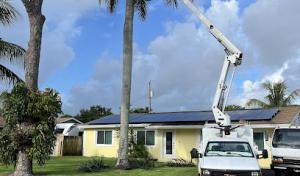 Seminole Tree Service.