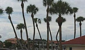 Big O's Tree Service