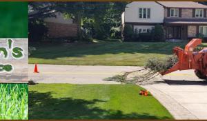 C Green's Tree Service