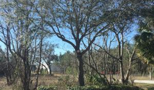 Nature Coast Treescapes ISA Certified Arborist
