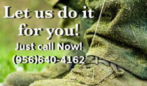 Semilla de Luz Lawn Care