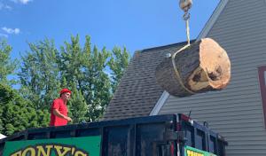 Tony's Tree & Landscaping