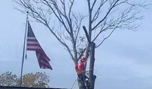 Woods Outdoor Services