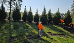 Final Oaks Tree Service