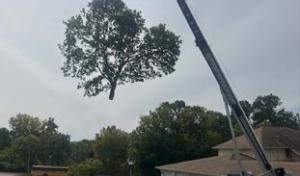 Perfect Landscape Tree & Services