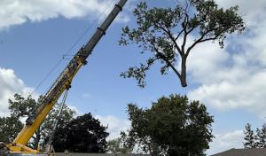 SMS Property Designs