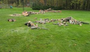 One Call Tree Service, LLC Tree Removal, Tree Trimming, Stump Grinding, Land Clearing