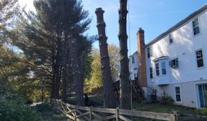 H&S Brothers Tree Service