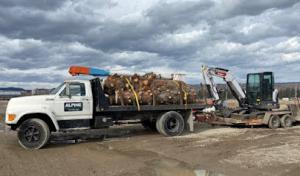 Alpine Tree Services
