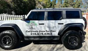 California Green Tree Care