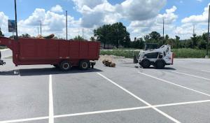 Harrisburg Tree Service