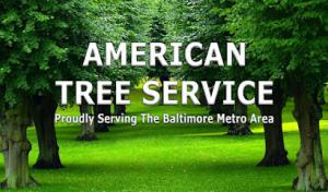 Newcomb Septic Services