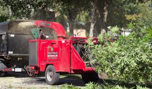 Mid-West Tree Experts