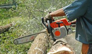 West Atlanta Tree Service - Carrollton Ga
