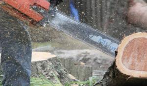 We Care Tree Service