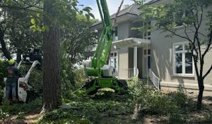 Great Scott Tree Service