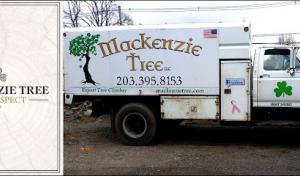 Mackenzie Tree