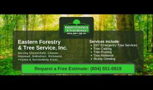 Eastern Forestry & Tree Service