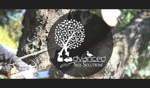 Advanced Tree Solutions
